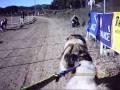 Un Alaskan Malamute en el Campeonato de España de Mushing Un Alaskan Malamute en el Campeonato de España de Mushing