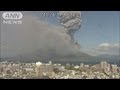 “ภูเขาไฟซากุระจิมา” ระเบิดครั้งรุนแรงที่สุดในญี่ปุ่น!! เถ้าถ่านปกคลุมทั่วเมือง “คาโกชิมา
