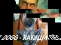 gFfvrzOGCbU