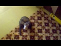 Значок видео