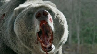 Into the Grizzly Maze: Red Band Fan Trailer