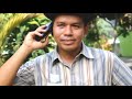 Picture Cari Pria Kaya