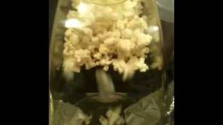 Orville Redenbacher's® Fountain® Hot Air Popper by Presto - Product Info -  Video - Presto®