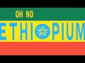 Oh No – Dr. No's Ethiopium 2LP レコード Oh No – Dr. No's Ethiopium – 2 x Vinyl (LP, Album), 2010