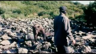Grizzly Man Trailer HD