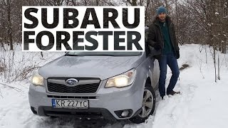 Subaru Forester 2.0 D 147 KM, 2015 - test AutoCentrum.pl Subaru Forester 2.0 D 147 KM, 2015 - test AutoCentrum.pl