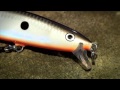 Rapala Flat Rap Brown Trout