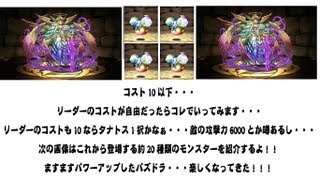 パズドラ　ドラりん降臨！地獄級　コスト10以下で使えそうなパーティ考察！ドラりん降臨　地獄級　君はノーコンでいけるか