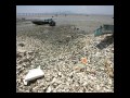 mercury pollution song