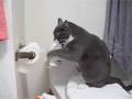 Did you forget to close the bathroom door? Did you forget to close the bathroom door?