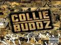 collie buddz / come around / LP レコード Mi0zMDgxLmpwZWc.jpeg