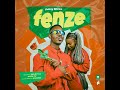 FENZE - DELROY SHEWE (OFFICIAL AUDIO)