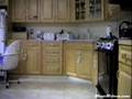 How a Smart Dog Gets a Snack! How a Smart Dog Gets a Snack!