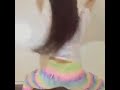 Image Abg Mesum Ngintip Pantat Bergoyang Heboh