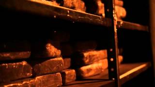 STASH HOUSE Trailer - After Dark Action