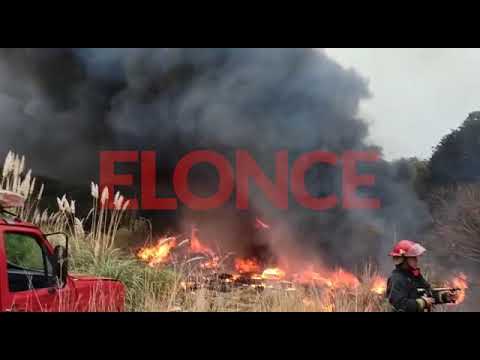Bomberos apagaron incendio de pastizales en el Acceso Norte