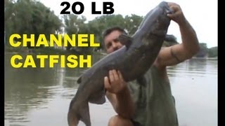Fathers Day Catfishing - 20lb channel 