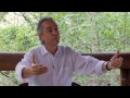 Entrevista