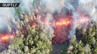В США поток лавы после извержения вулкана Килауэа прошел сквозь лес — видео с беспилотника