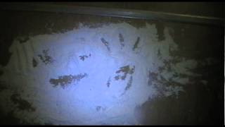 The Entity Trailer draft