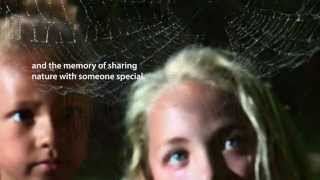 Next Time You See A Spiderweb book trailer