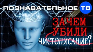 Зачем убили чистописание? (Познавательное ТВ, Михаил Величко)