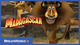 MADAGASCAR: ESCAPE 2 AFRICA | Official Trailer