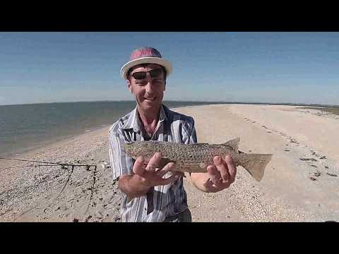 рыбалка на море с берега как ловить кефаль рыбалка на море с берега как ловить кефаль