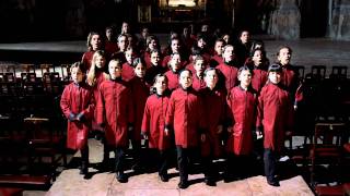 Trailer #12 Filme do Desassossego