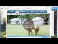 Фрагмент с середины видео Как создать свой сайт бесплатно на конструкторе сайтов wix com Фрагмент с середины видео Как создать свой сайт бесплатно на конструкторе сайтов wix com