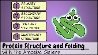 Protein Structure and FoldingProtein Structure and Folding