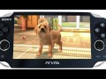 "PlayStation Vita Pets" เกมเลี้ยงน้องหมาลงวีตา