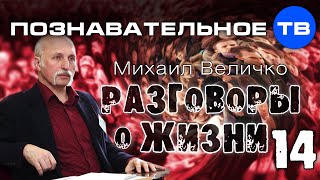 Разговоры о жизни 14 (Познавательное ТВ, Михаил Величко)