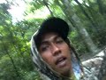 Image Berburu Bajing Hunting Squirrel Dengan Senapan Angin Sharp Phoenix Laras St Ii