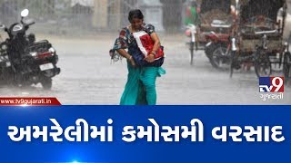 Crops in Amreli hit by unseasonal rain; farmers knock at govt door | Tv9GujaratiNewsCrops in Amreli hit by unseasonal rain; farmers knock at govt door | Tv9GujaratiNews