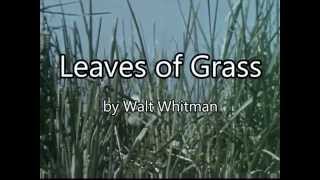 Leaves of Grass Book Trailer