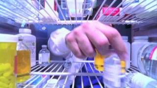 INTOXICATING trailer