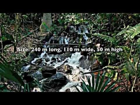 Rainforest Biome, Eden Project