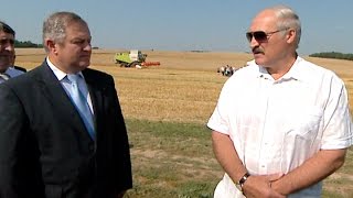 Лукашенко: секрет хорошего урожая в климате, который наше правительство разработало для сельского хозяйства