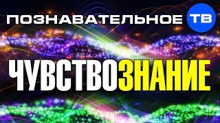 Чувствознание. Метод осознанного управления энергиями (Познавательное ТВ)