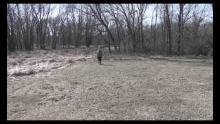 Til Death Do Us Part Trailer 4K Resolution