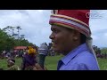 Image Blood Sacrifice In Indonesia Part 1 2