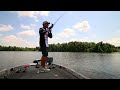 Photo Matching Forage Size For Schooling Bass Fishing