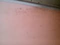 Image Intip Kamar Tante Lisa