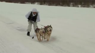 Хаски на службе: арктические мотострелки учатся ездить на собаках (03.12.2019 09:06)