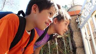 How To Steal a Dog Trailer