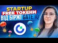 STARTUP FREE ?????? ??? ????? GATE IO  ????? ??????????[1]