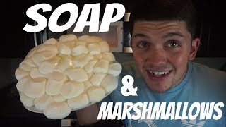 JOSHS LIFE MICROWAVES SOAP AND MARSHMALLOWS EXPERIMENT!JOSHS LIFE MICROWAVES SOAP AND MARSHMALLOWS EXPERIMENT!