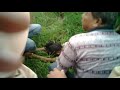 Image Gadis Malang Saat Mandi Di Sungai