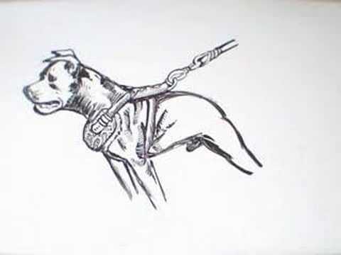 Dibujando un pitbull - Imagui